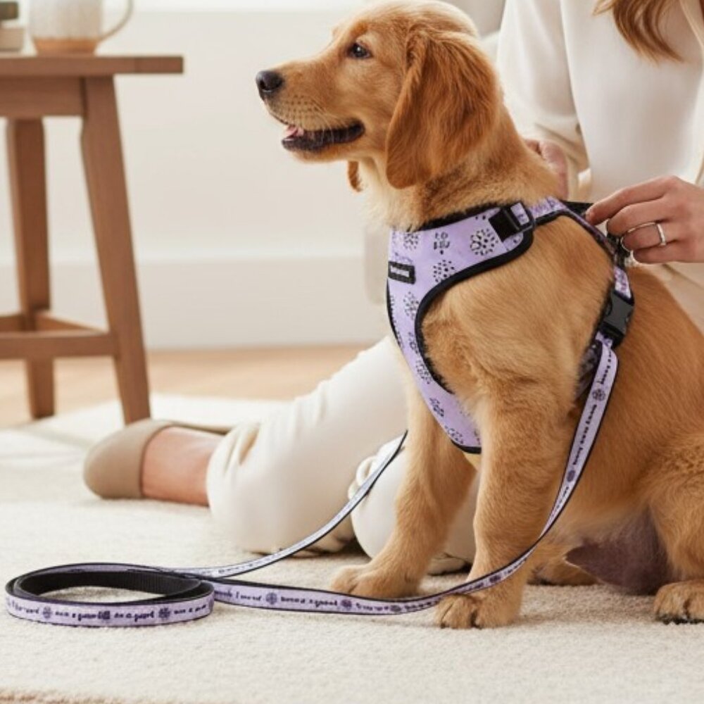 NWT Life is Good Vintage Collection Dog Harness & Leash Set - Lavender Daisy